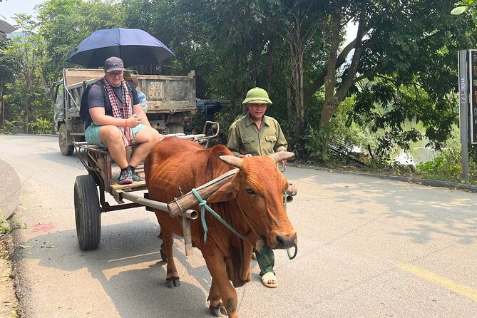 Majestic Ninh Binh Discovery: Mua Cave & Tam Coc private tour - FAQ  