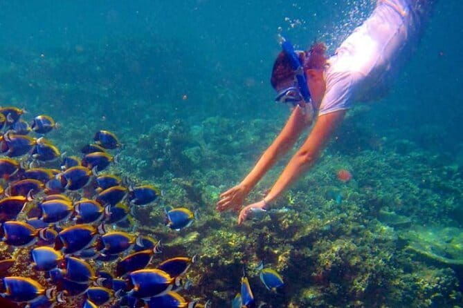 Maldives Adventure Trip - FAQ: Your Questions Answered