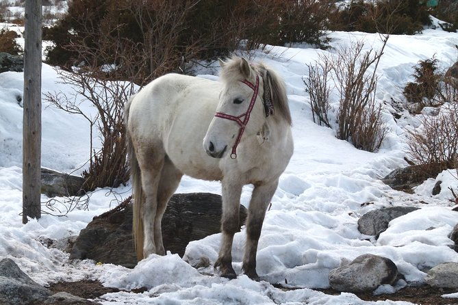 Manaslu Circuit Trek 17 Nights 18 Days - Final Thoughts