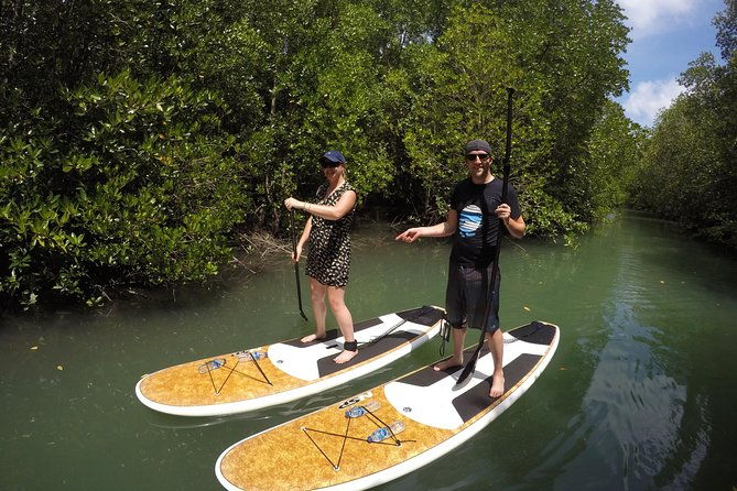 Mangroves SUP Tour Phuket - Challenges or Considerations