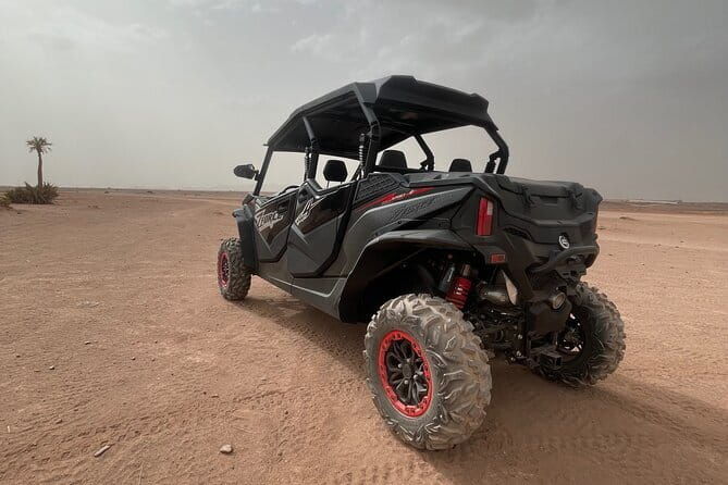 Marrakech: Buggy ride in the palm grove with tea break - Additional Details and Practical Information