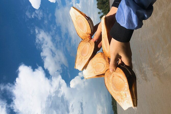 Mekong with biking private tour - Who Would Love This Tour?