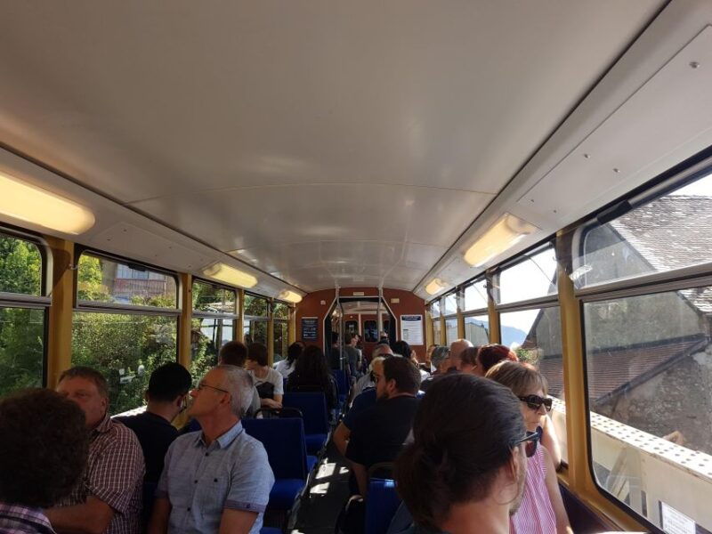 Montreux to Rochers-de-Naye: Alpine Adventure Ticket - Accessibility and Important Considerations