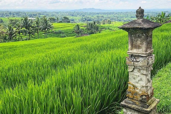 More Complete: Discover Bali In 3 Days Private Tour Package - Final Thoughts: Who Is This Tour Perfect For?