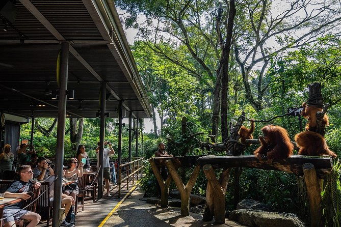 Morning at the Zoo with 1-way Transfer (Free & Easy) - The Sum Up: Is It Worth It?