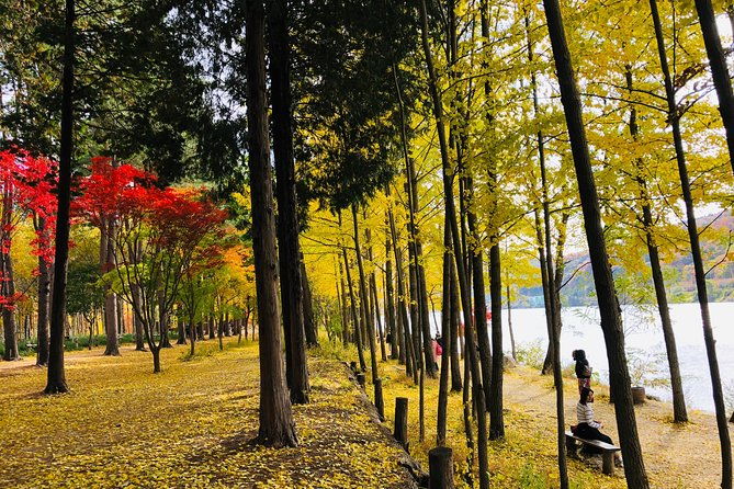 Mt. Seorak+Nami Island+Garden of Morning Calm Day Trip from Seoul - Final Thoughts