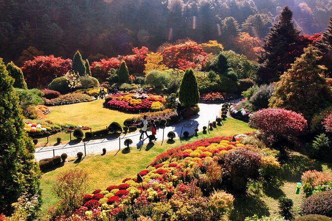 Nami Island & Garden of Morning Calm & Gangchon Railbike Tour - Who Is This Tour Best For?