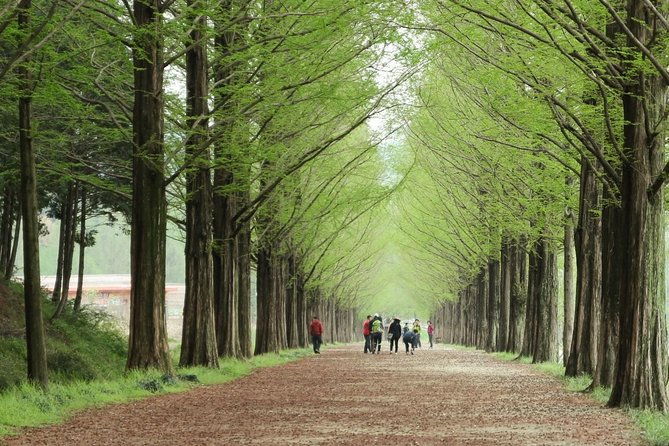 Nami Island& Petite France& Garden of Morning Calm& Italian Village One-Day Tour - Frequently Asked Questions