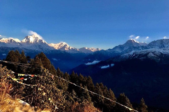 Nepal Round Tour with Annapurna Trek 14 Days - Who Should Consider This Tour?