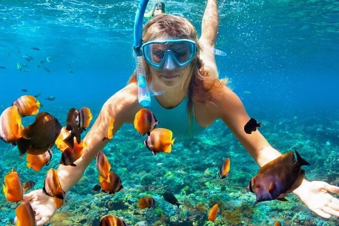 Nha Trang Bay: Explore Half-day Snorkeling at Mun Island - FAQs