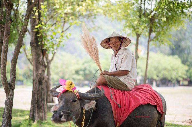 Ninh Binh Daily Tour: Hoa Lu - Tam Coc boat trip and Bike - The Value of This Tour