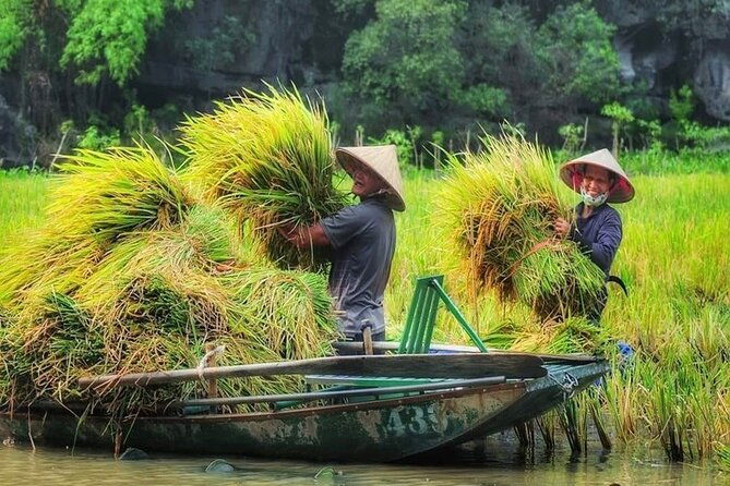 Ninh Binh Full-Day Tour Hoa Lu Tam Coc Cycling, Boat,Buffet Lunch - FAQs