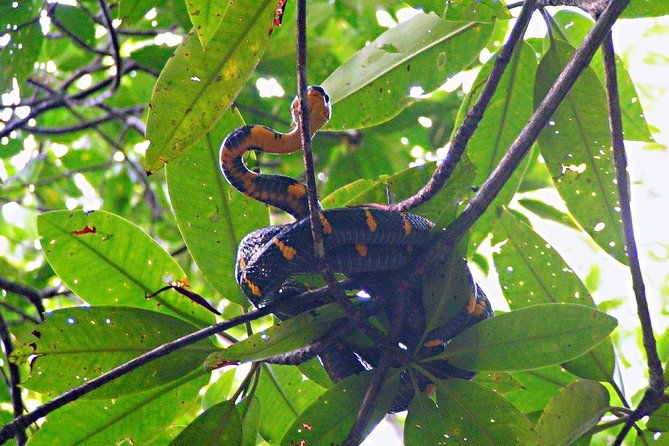 Northern Bintan Full Day Tour - Frequently Asked Questions