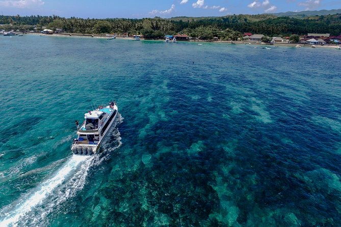 Nusa Lembongan Island: Snorkeling & Mangrove Forest Day Tour - Final Thoughts: Is This Tour for You?