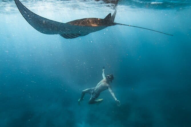 Nusa Penida Snorkeling in Manta Point Gamat Bay and Wall - Final Thoughts