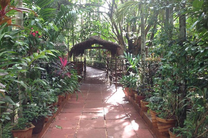 Old Goa Churches, Temples & Spice Plantation With "Goan" Lunch - Final Thoughts