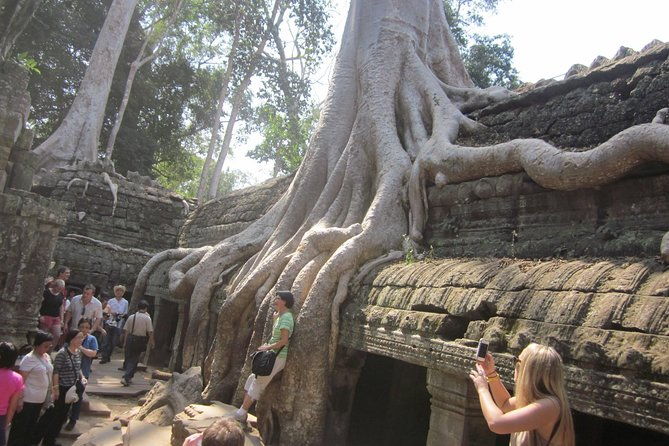 One Day Angkor World Heritage Tour - FAQ