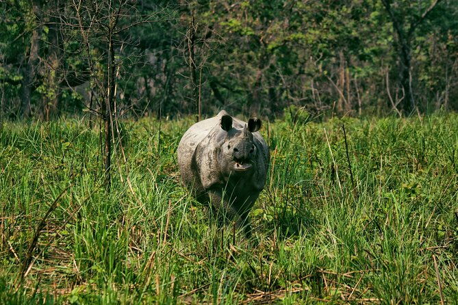 One Day Tour inside Chitwan National Park - Why This Tour Offers Good Value