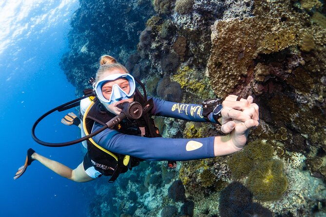 Open Water Course - Become certified diver in 3 days - The Sum Up