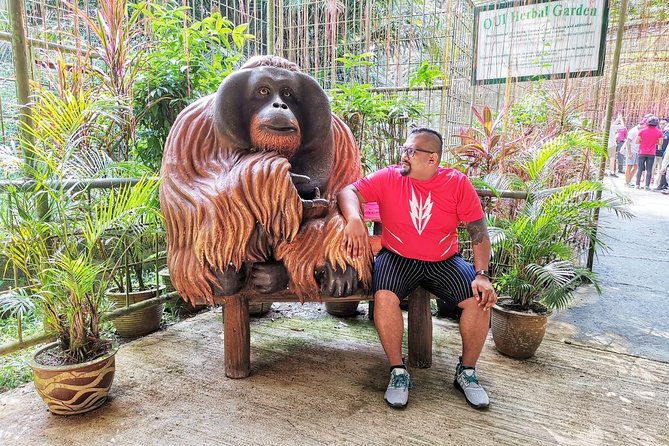 Orang Utan Island Day Tour - What the Reviews Say: Authentic Insights