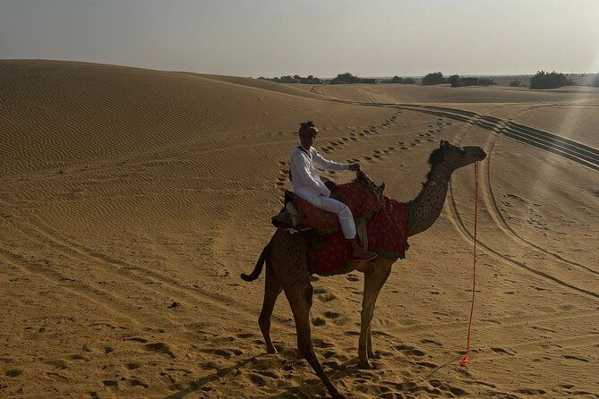 Overnight camel safari (non_touristic) - FAQs