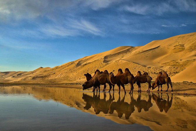 Overnight Semi-Gobi Tour with Nomadic HomeStay - Who Should Consider This Tour?  