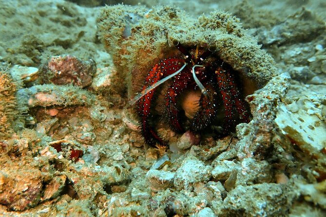 PADI Discover Scuba 2 Times Diving Phuket - FAQs