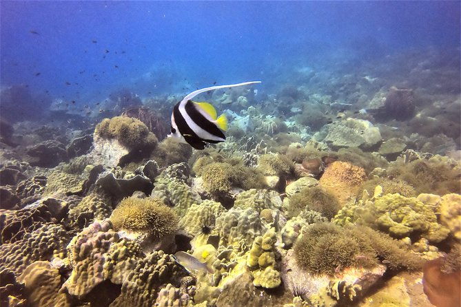 PADI Discover Scuba Dive Experience - Frequently Asked Questions