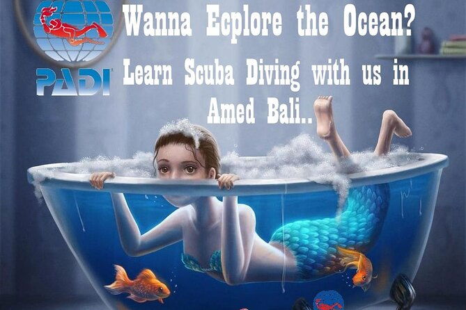 Padi Discover Scuba Diving In Amed Bali - Practical Details and What to Expect