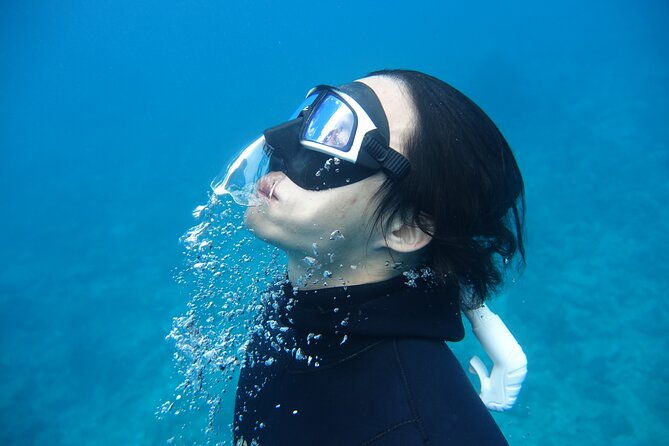PADI Freediver Course - Value and Price Analysis