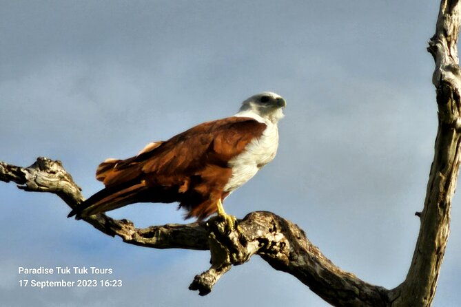 Paradise Bundala Safari Tours - FAQs about Paradise Bundala Safari Tours