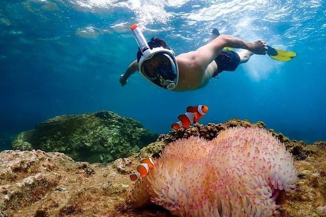 Pattaya: Coral Island Speedboat Tour with Indian Lunch & Transfer - Who is This Tour Best For?
