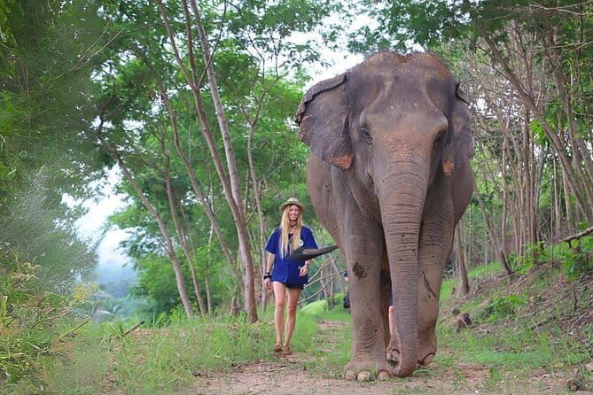 Pattaya Discovery Tour with Floating Market - Final Thoughts