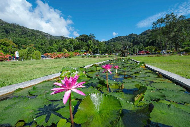 Penang Hill(FastLane),Ferringhi Beach,Botanic Garden & Kek Lok Si - Authentic Experiences and Hidden Gems
