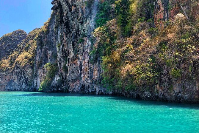Phang Nga Bay Private Bioluminescence and Sea Canoeing Tour - Frequently Asked Questions