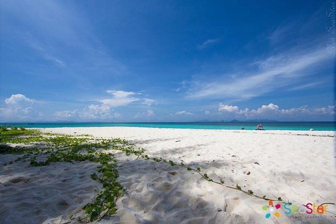 Phi Phi & Bamboo Islands Full-Day Tour by Speedboat From Phuket - Who is this tour best suited for?