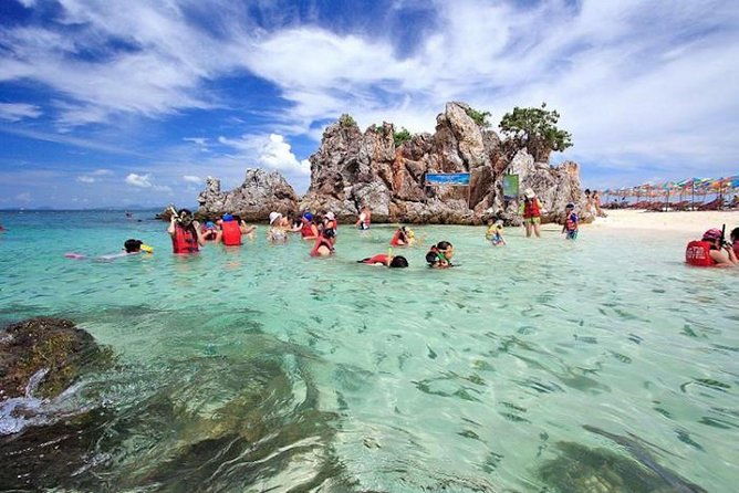 Phi Phi Island from Phuket by Speedboat (SHA Plus) - Who Will Love This Tour?