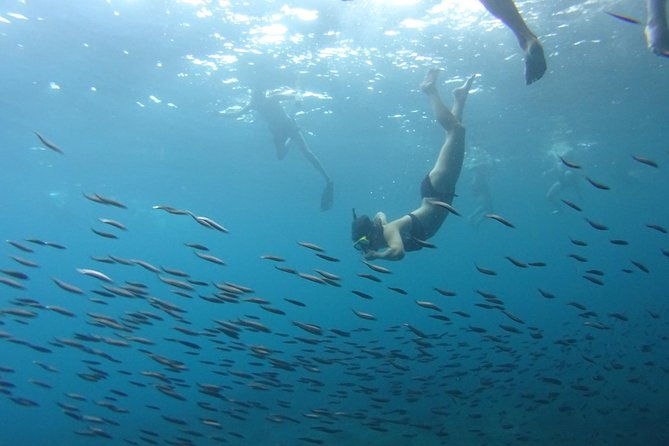 PHI PHI ISLAND - Sunrise Trip From Phi Phi Don By Phi Phi Local Tour - FAQ: Common Questions About the Phi Phi Sunrise Trip
