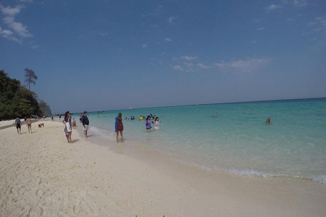 Phi Phi Islands Day Tour Bamboo and Maya Bay with Lunch By Speedboat - Who Will Love This Tour?