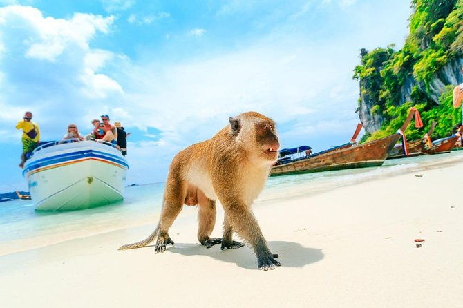 Phi Phi , Khai & Maya : Unforgettable Island Hopping by Speedboat - The Sum Up