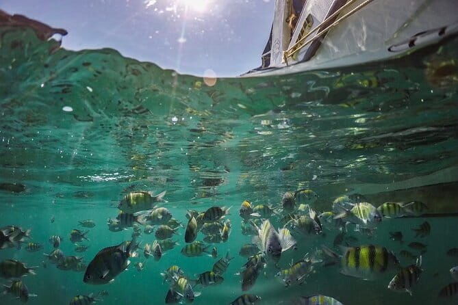 Phi Phi with Maya and Bamboo Island Day Trip by Speedboat - The Sum Up: Who’s This Tour Best For?