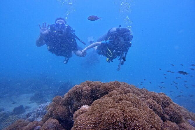 Phu Quoc Car Charter Rental - What Are the Potential Drawbacks?