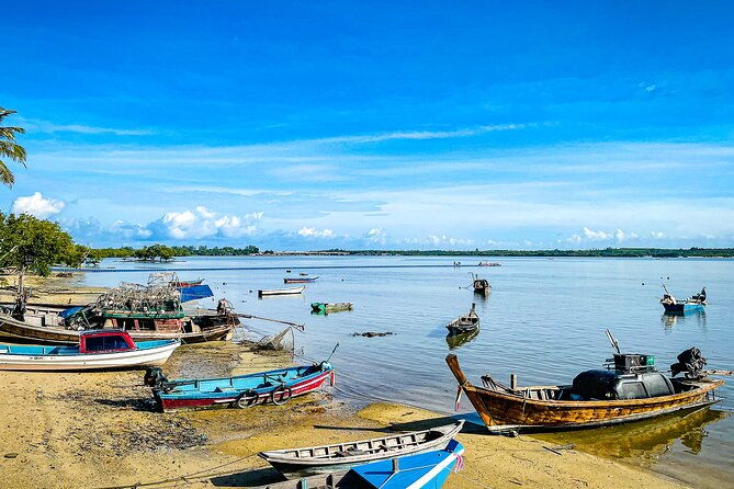 Phuket Coast to Coast Cycling Tour | Half Day Tour - Price and Overall Value