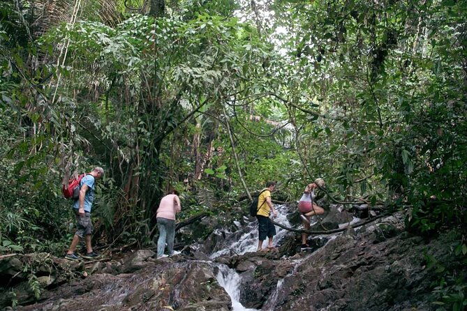 Phuket Jungle Trekking Experience at Khao Phra Taew National Park - Practical Tips for Your Tour
