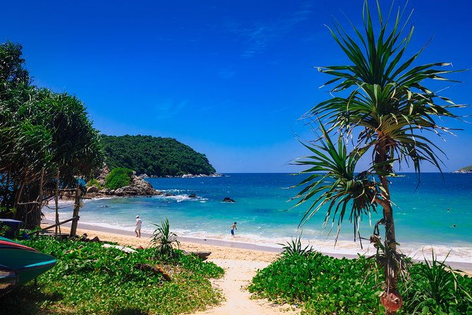 Phuket Lookouts Tour with Lunch at Organic Farm - Who Would Love This Tour?