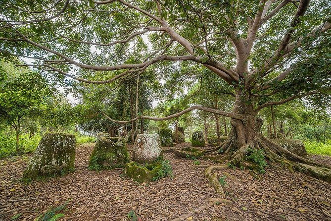 Plain of jars tour with local guide - Final Thoughts: Who Is This Tour Best For?