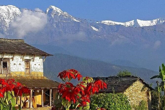 Pokhara: Dhampus Easy Trek for Families with YoungKids 2 Day Tour - What Travelers Say