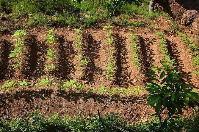 Pokhara: Organic Farm Tour and Cooking Class at Durku - Final Thoughts