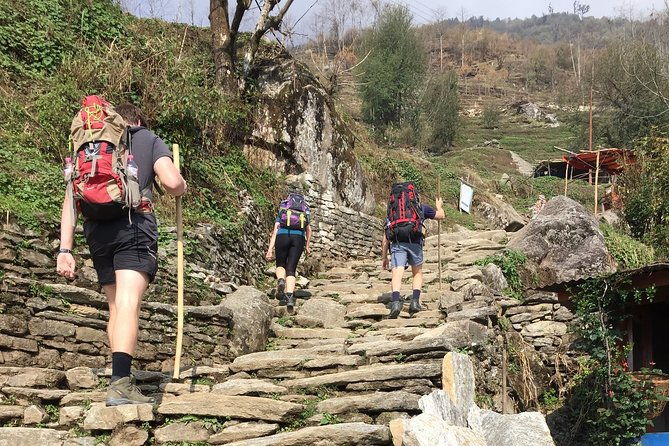 Poon Hill - Ghandruk Trek from Kathmandu - Transportation and Logistics: Making the Journey Smooth