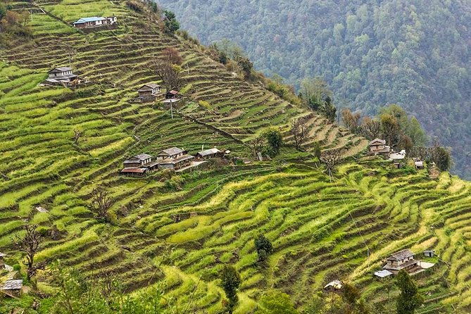Poon Hill Trekking- A day to explore Nepal in a short time - Who Should Consider This Trek?